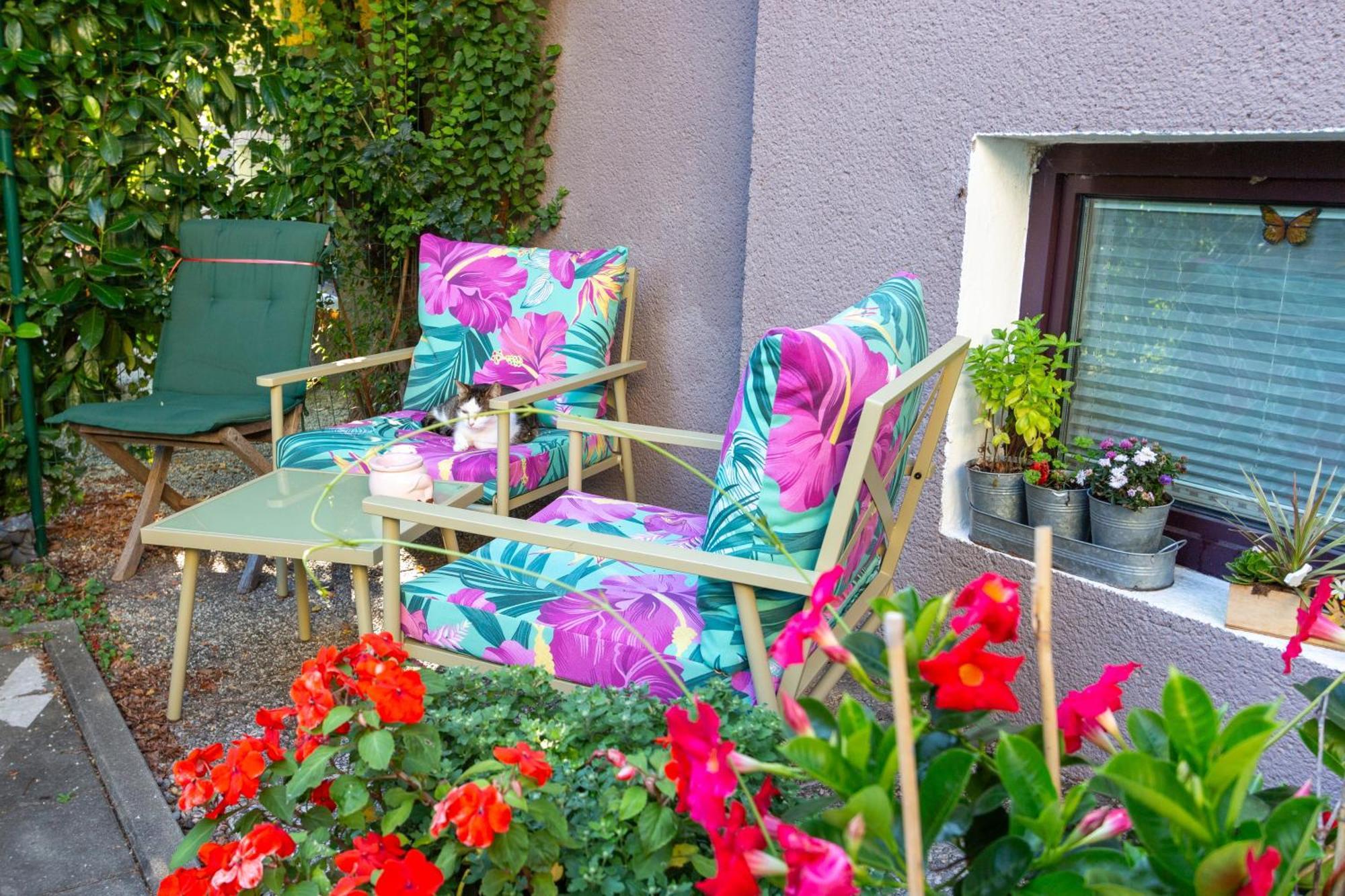 Benjamins Refugium Apartment Salzburg Ngoại thất bức ảnh